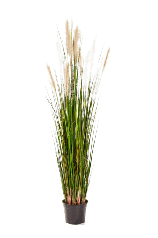 Sztuczna roślina Grass Reed