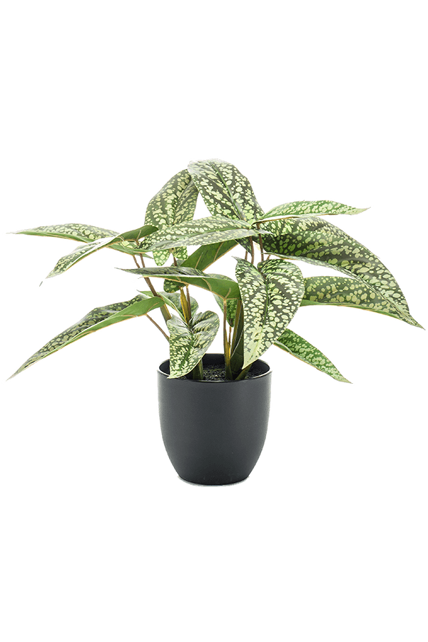 Sztuczna roślina Calathea Dots