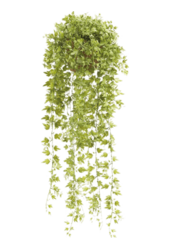 Sztuczna roślina bluszcz
