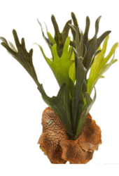 Sztuczna roślina paproć Staghorn