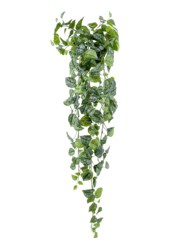 Sztuczna roślina Scindapsus Pictus