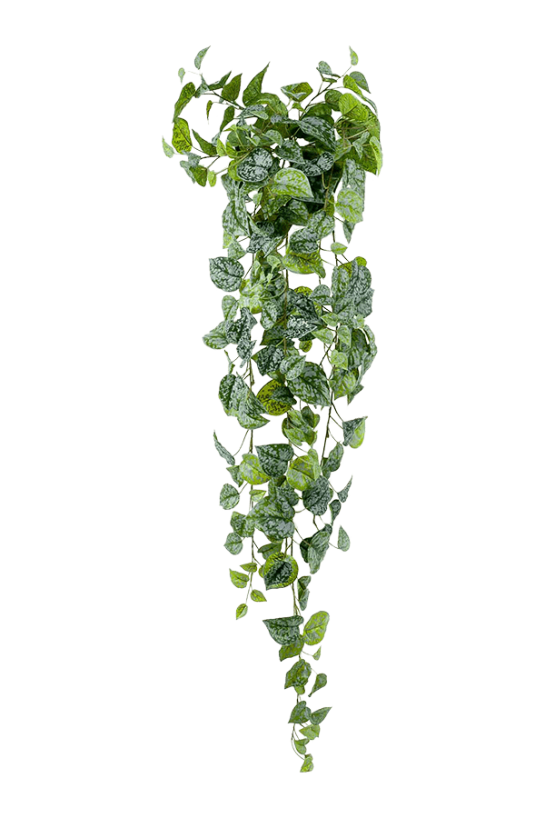 Sztuczna roślina Scindapsus Pictus