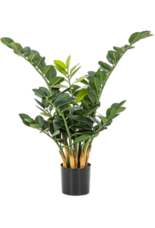 Sztuczna roślina Zamioculcas Zamiifolia