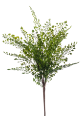 Fern Adianthum sztuczna roślina