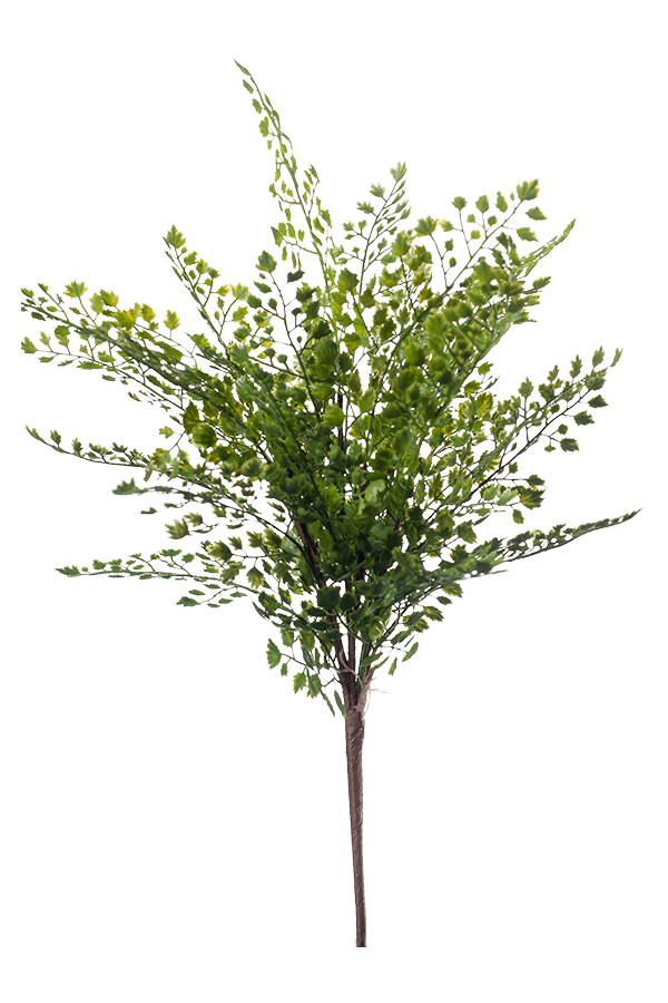 Fern Adianthum sztuczna roślina