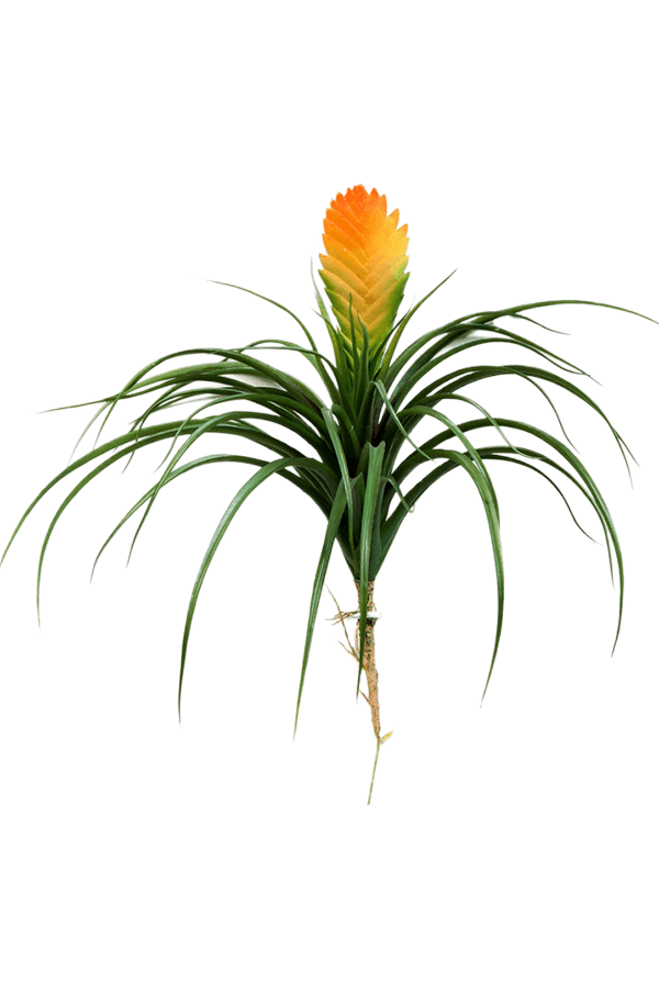 Sztuczna roślina Bromelia Vriesia