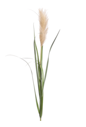 Sztuczna trawa pampasowa