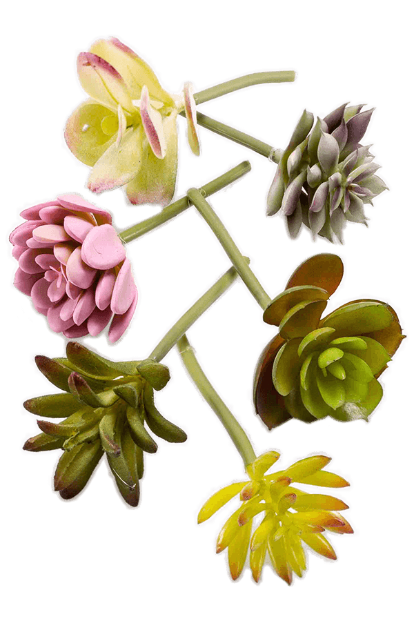 Sztuczna roślina Succulent Mix