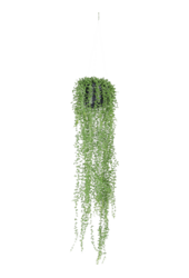 Sztuczna roślina Senecio