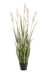 Sztuczna trawa pampasowa