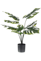 Sztuczna roślina Monstera