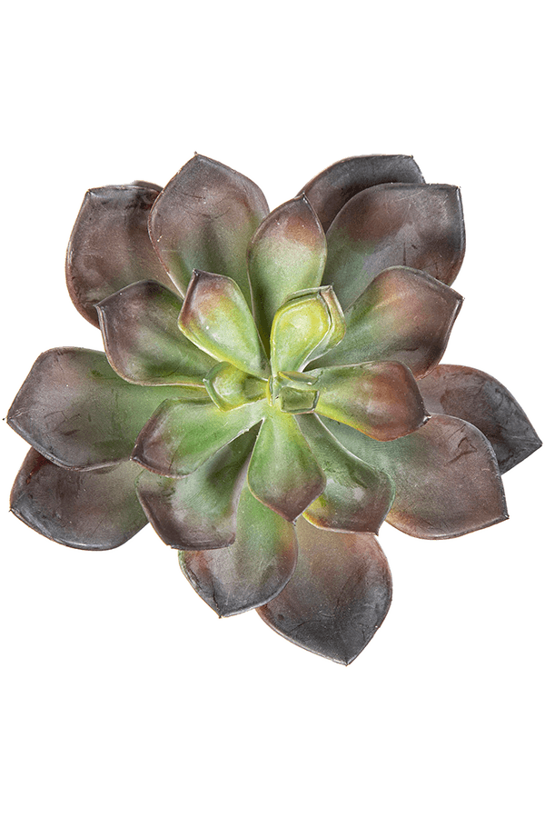 Sztuczna roślina Echeveria