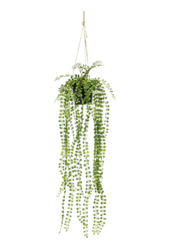 Sztuczna roślina Ficus Pumila