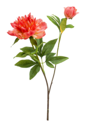 Sztuczna roślina Peony Sarah