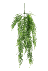 Sztuczna roślina Asparagus