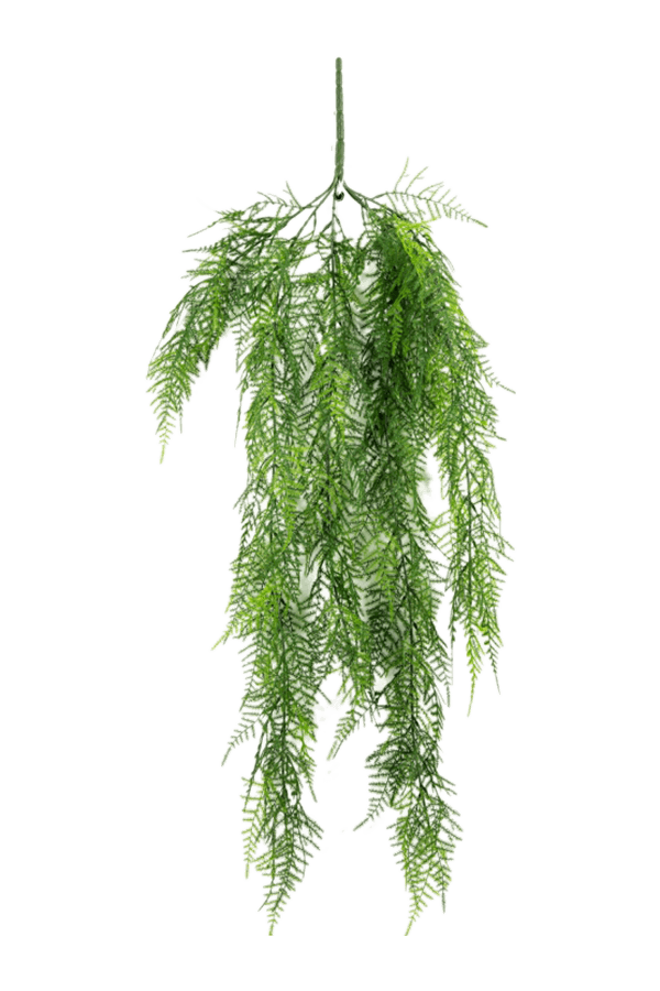 Sztuczna roślina Asparagus