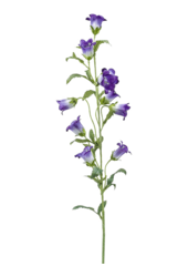 Sztuczna roślina Campanula
