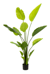Sztuczna roślina Strelitzia Nicolai