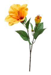 Sztuczny hibiskus