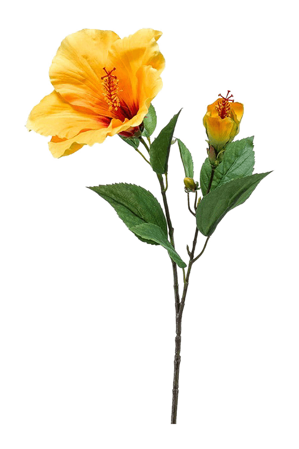 Sztuczny hibiskus
