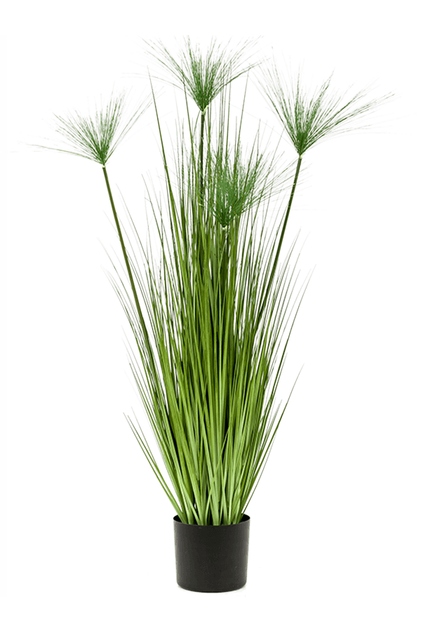 Sztuczna roślina Cyperus Haspan
