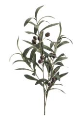 Sztuczna roślina oliwna