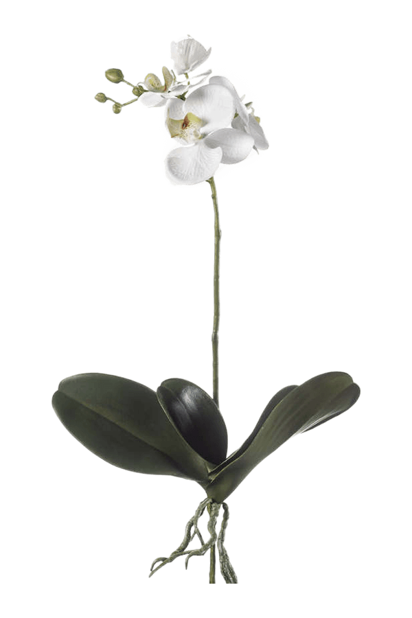 Sztuczna roślina Phalaenopsis