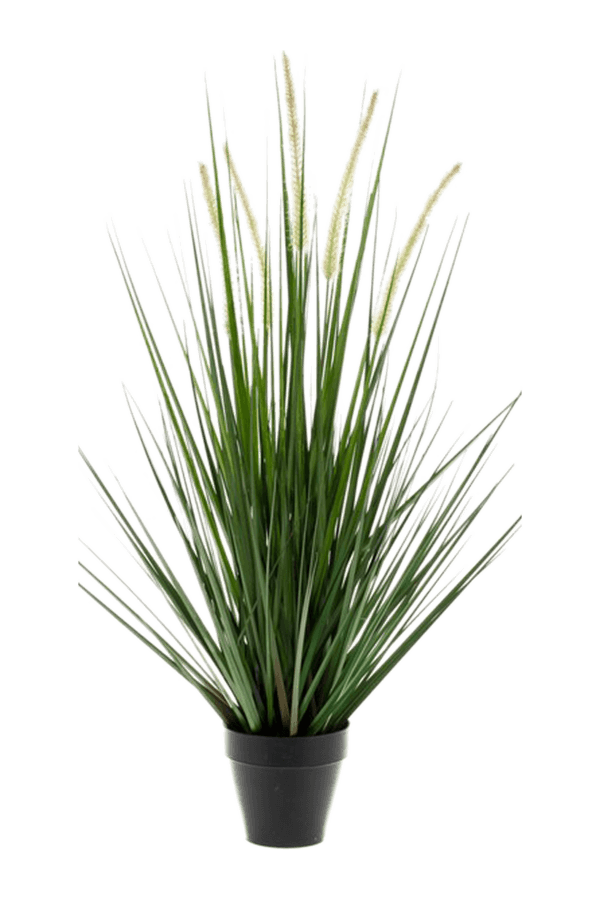 Trawa Alopecurus sztuczna roślina