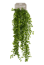 Sztuczna roślina Ficus Pumila