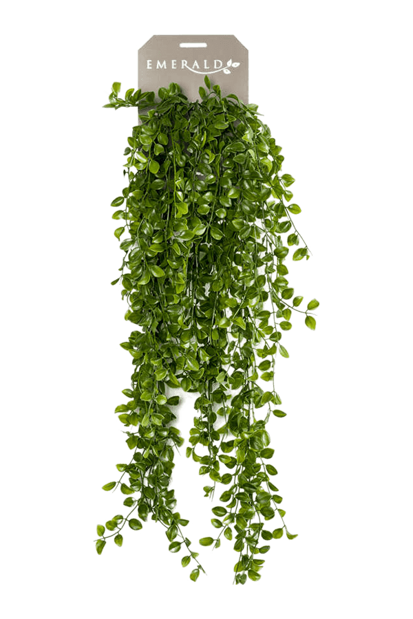 Sztuczna roślina Ficus Pumila