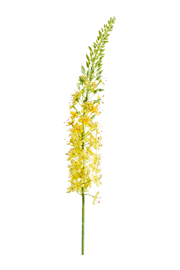 Sztuczna roślina Eremurus