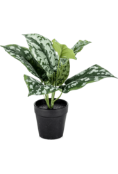 Sztuczna roślina Scindapsus Pictus