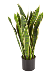Sztuczna roślina Sansevieria