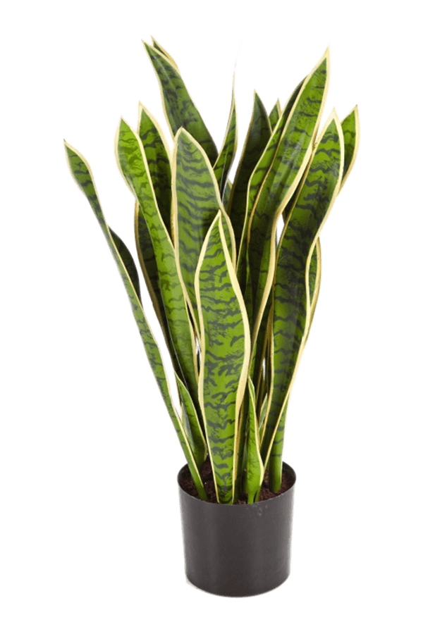 Sztuczna roślina Sansevieria