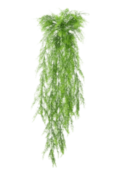 Sztuczna roślina Springeri