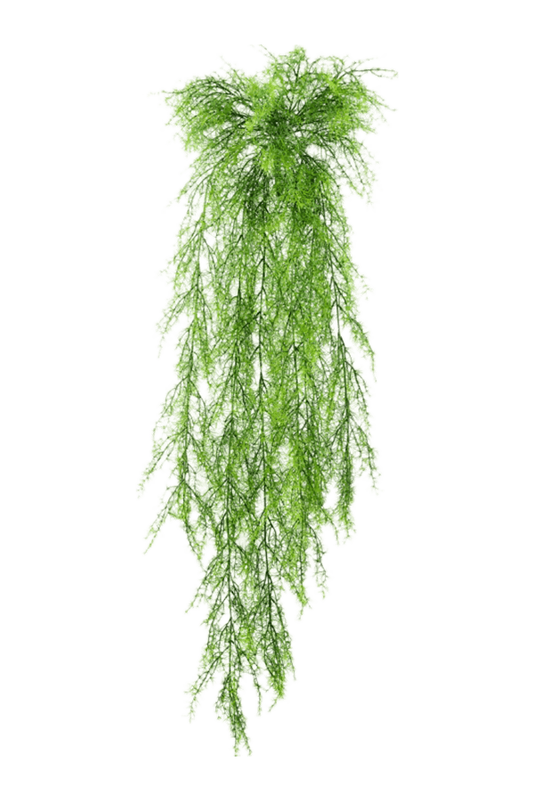 Sztuczna roślina Springeri