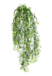 Sztuczna roślina Baby Tear