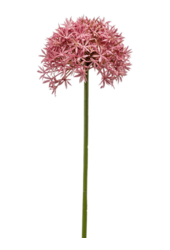 Sztuczna roślina Allium