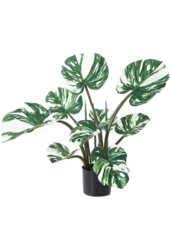 Sztuczna roślina Monstera Deliciosa