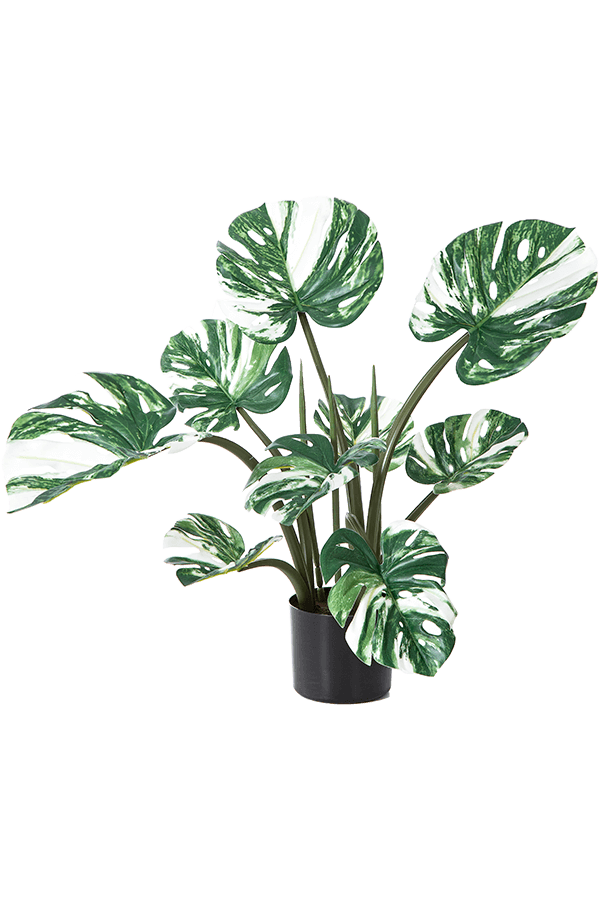 Sztuczna roślina Monstera Deliciosa