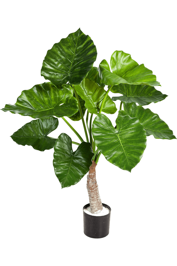 Sztuczna roślina Alocasia Calidora