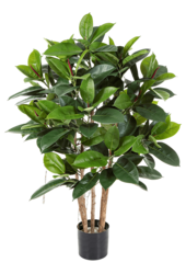 Sztuczna roślina Ficus Elastica