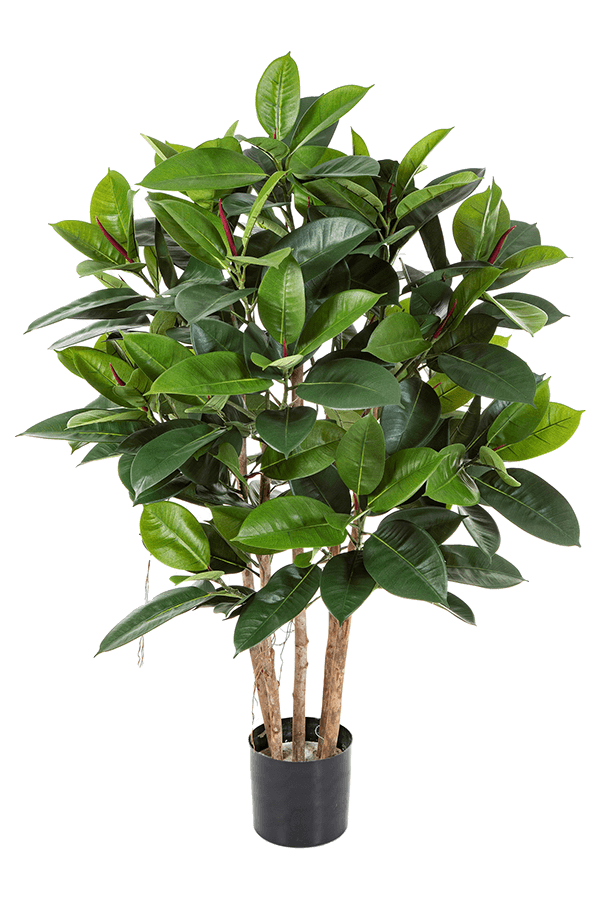 Sztuczna roślina Ficus Elastica