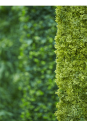 Sztuczna roślina Iceland Moss