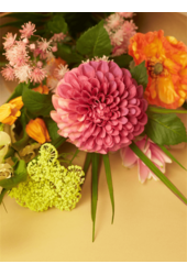 Sztuczna roślina Dahlia Pompon