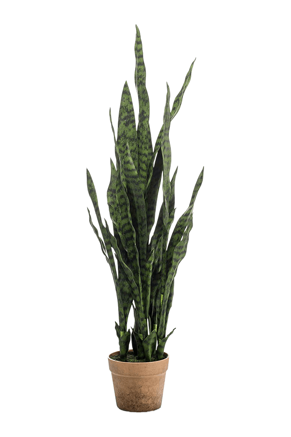 Sztuczna roślina Sansevieria