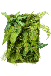 Living Wall Mix sztuczna roślina