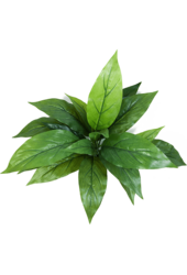 Sztuczna roślina Cordyline