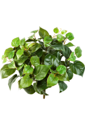 Filodendron sztuczna roślina