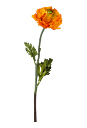 Sztuczna roślina Ranunculus